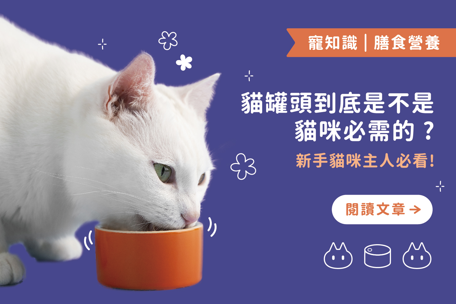 新手貓咪主人必看｜貓罐頭到底是不是貓咪必需的 ? 