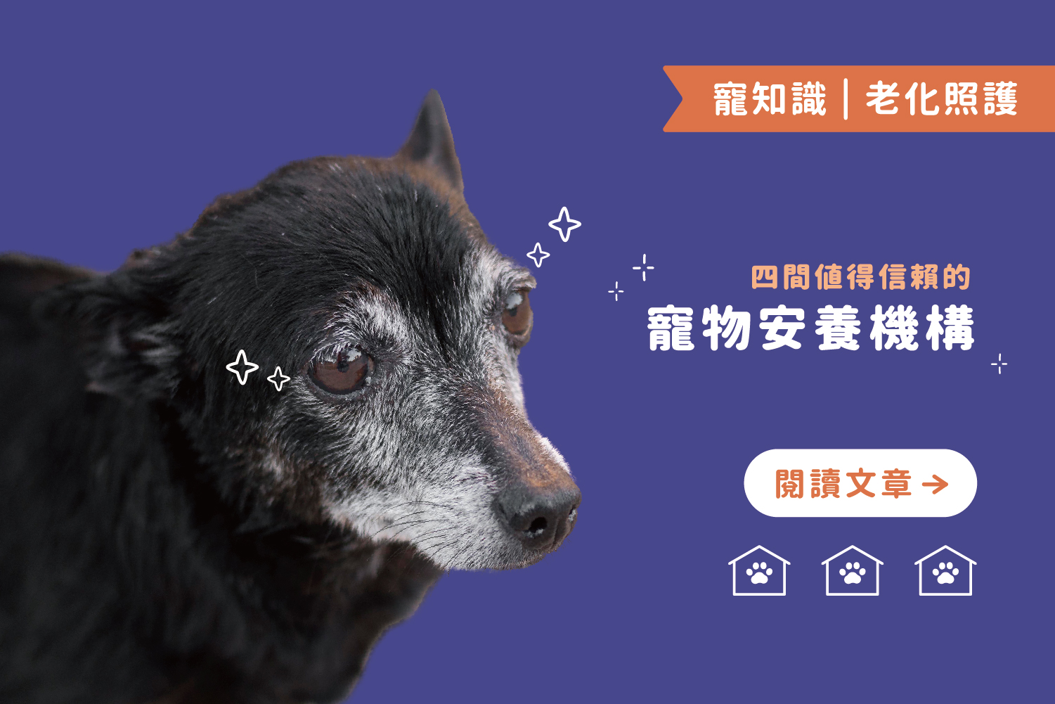 我會陪你走到最後｜四間值得信賴的寵物安養機構