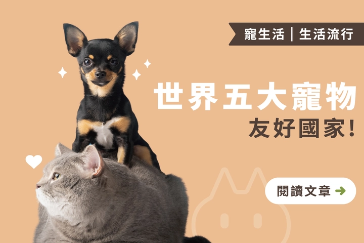 養寵物之人的理想國度｜世界五大寵物友好國家