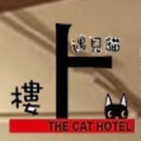 樓上遇見貓