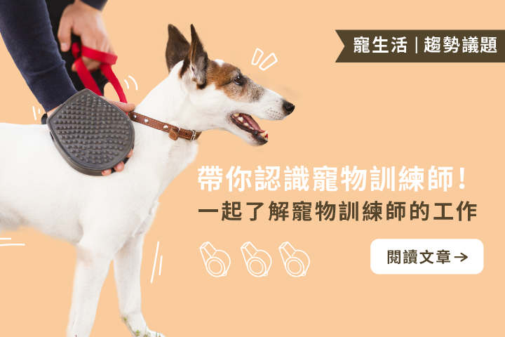 帶你認識寵物訓練師｜寵物訓練師的5大職責及4項特質