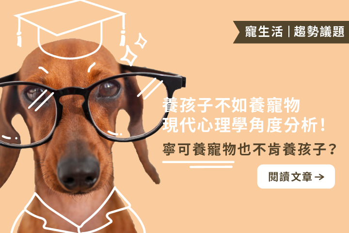 寧可養寵物也不肯養孩子？現代心理學角度分析｜養寵物所帶來的5個正向價值