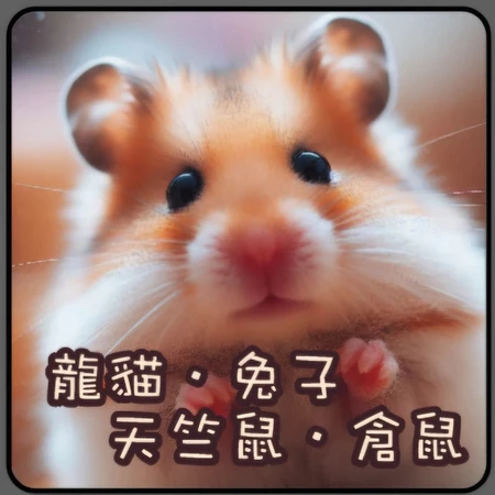 寵物戀 