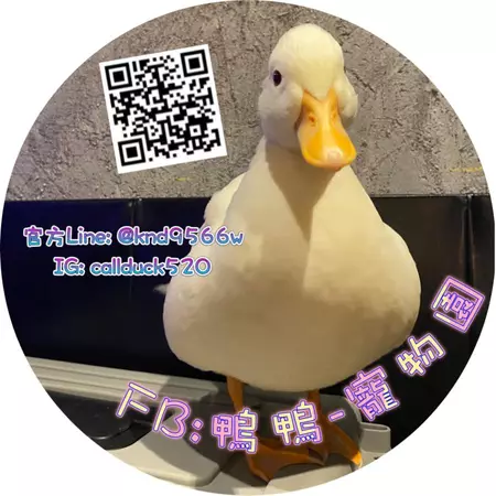 鴨鴨-寵物園 