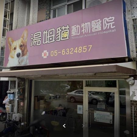 湯姆貓動物醫院