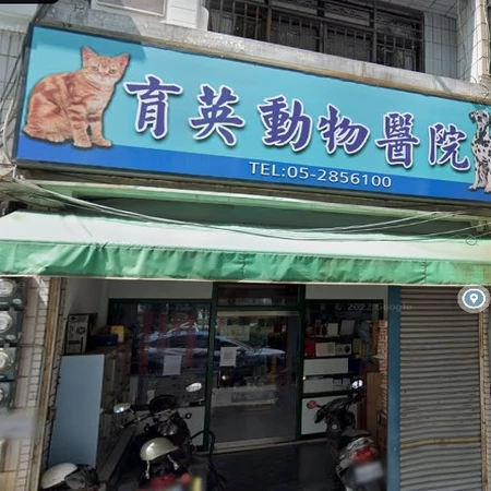 育英動物醫院