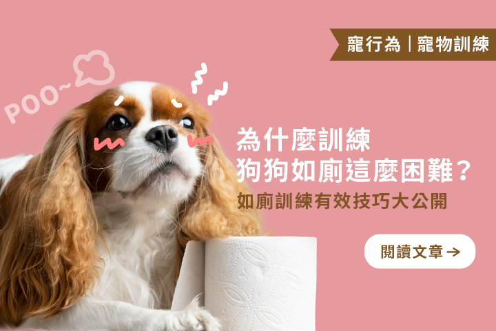 為什麼訓練狗狗如廁這麼困難？｜5個常見原因及5個訓練技巧