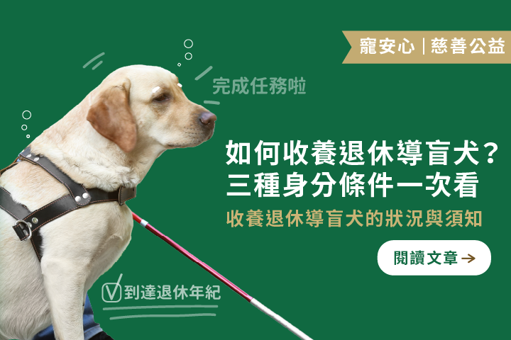 如何收養退休導盲犬｜三種身分條件一次看
