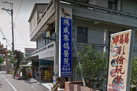 鴻成賽鴿醫院