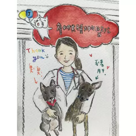 詹姆斯動物醫院