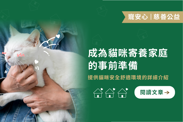 貓咪中途必修課｜成為貓咪寄養家庭的5個事前準備