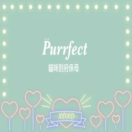 Purrfect 貓咪到府保母