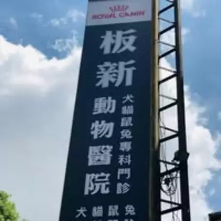 板新動物醫院
