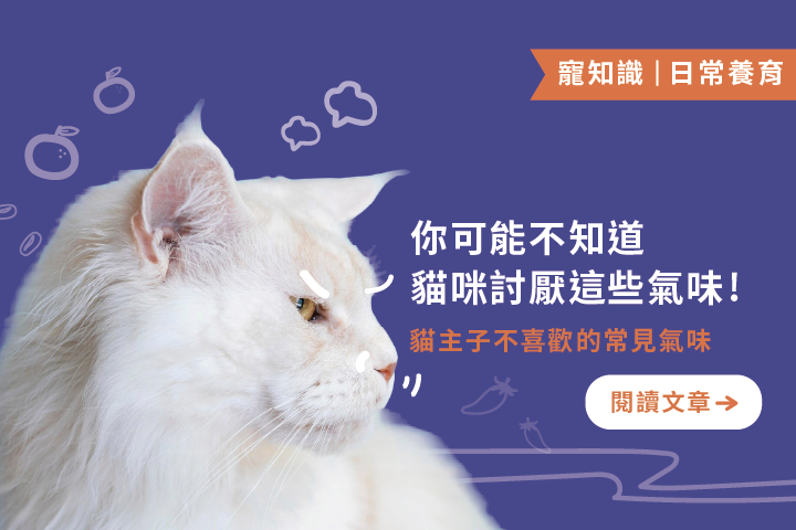 你可能不知道貓咪討厭這些氣味｜5個貓咪不喜歡的常見氣味