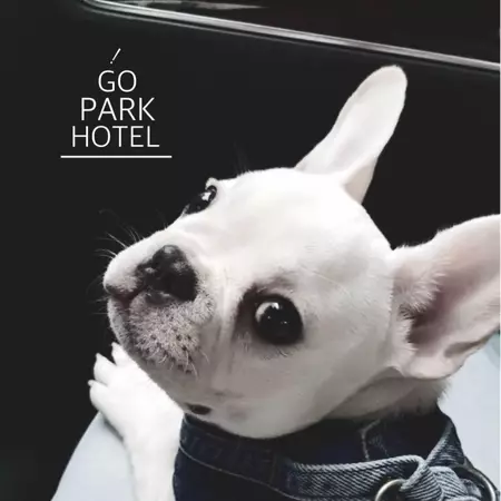 GOPARK公園系寵物沙龍/181號