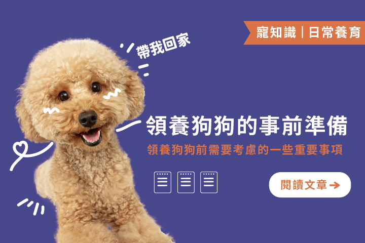 迎接毛小孩回家！｜領養狗狗的5個事前準備