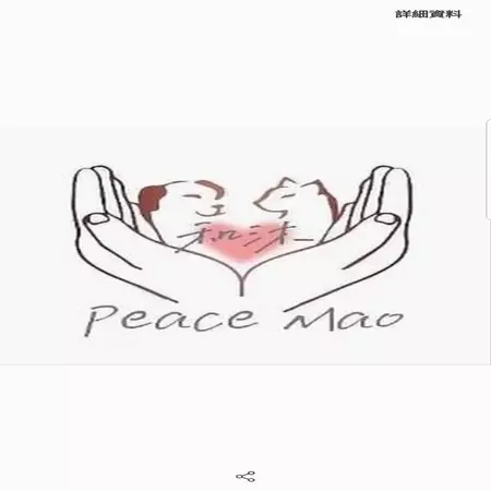 和沐寵物美學苑/貓咪獨立美容室/