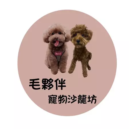 毛夥伴寵物沙龍坊