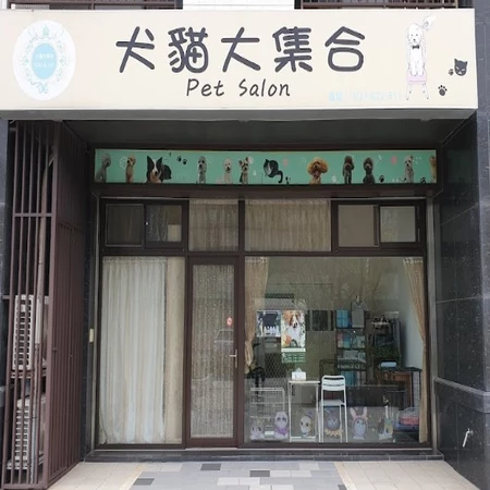 犬貓大集合 寵物美容