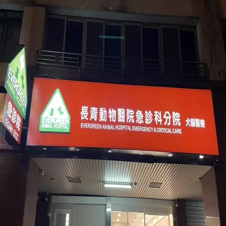 長青動物醫院 急診科分院