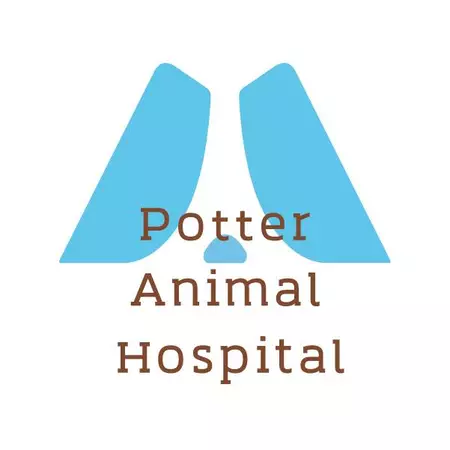 波特動物醫院