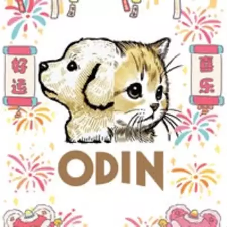 奧丁寵物 Odin pet 