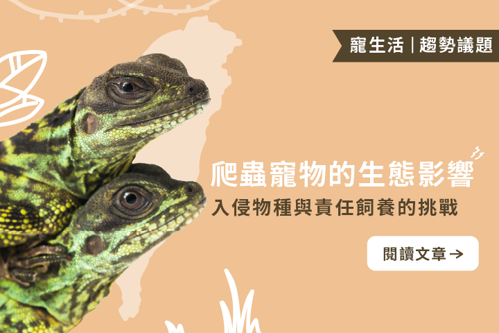 爬蟲寵物的生態影響｜入侵物種與責任飼養的挑戰
