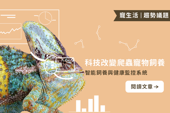  科技改變爬蟲寵物飼養｜智能飼養與健康監控系統