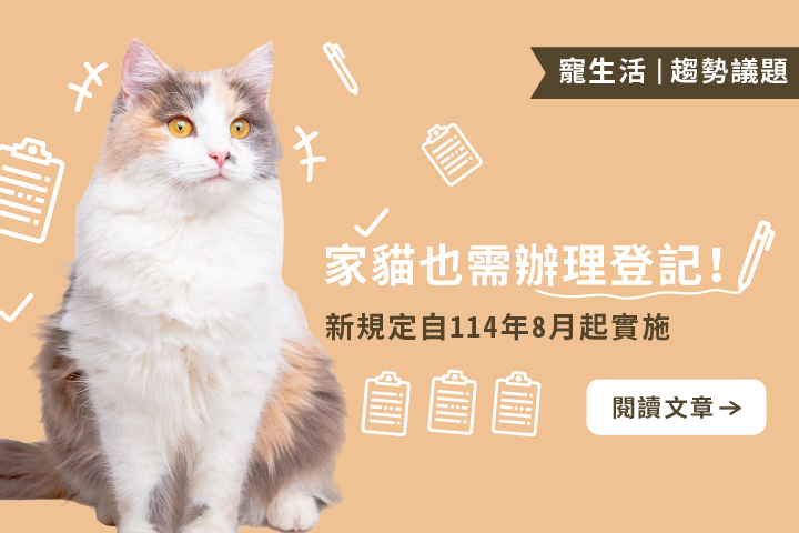家貓也需辦理登記！新規定自114年8月起實施
