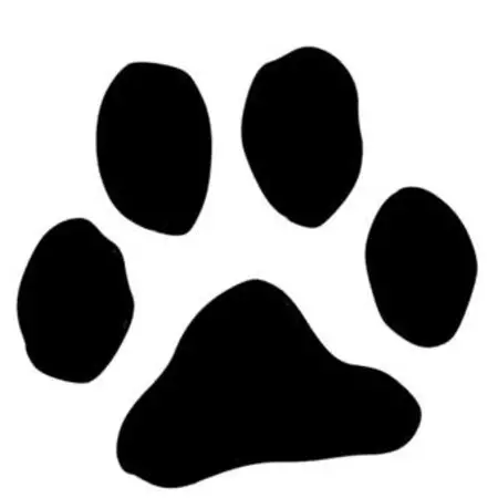 Dog King寵物美容 