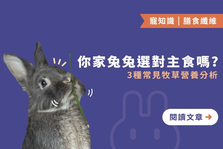 你家兔兔選對主食嗎？｜3種常見牧草營養分析