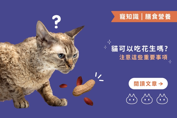 貓可以吃花生嗎？｜需注意這兩大潛在危害及4點重要事項！