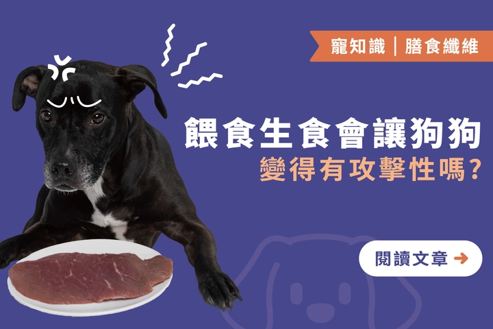 餵食生食會讓狗狗變得有攻擊性嗎？｜破解迷思與遵循這三點注意事項