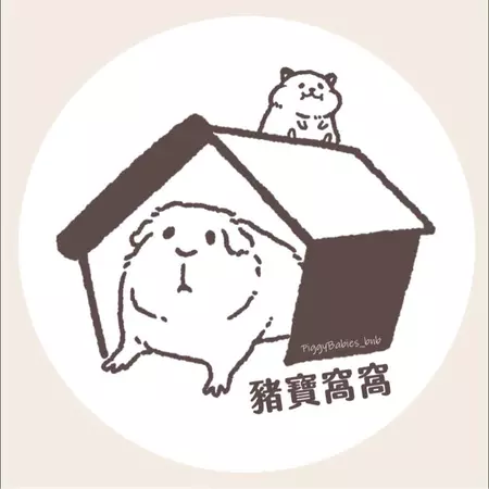 豬寶窩窩－天竺鼠的生活百貨＆新竹鼠鼠寄宿(無實體店)