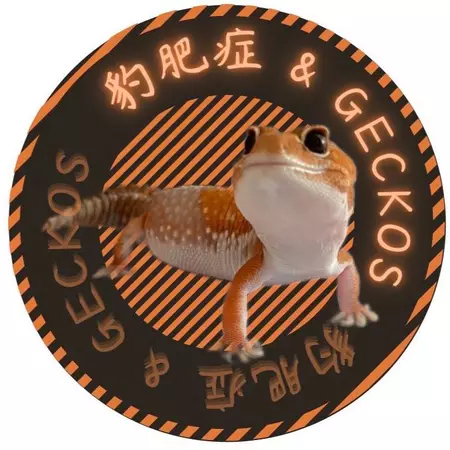豹肥症