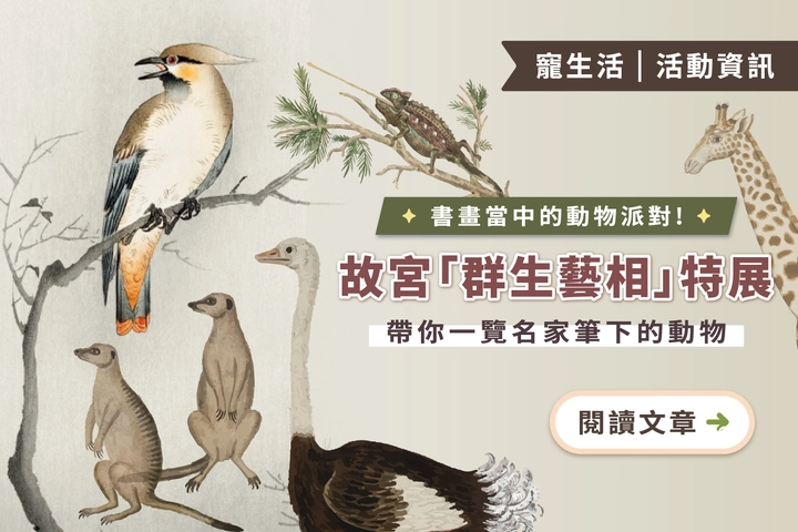 書畫當中的動物派對｜故宮「群生藝相」特展帶你一覽名家筆下的動物