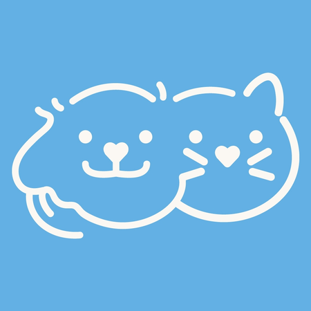 小小毛孩