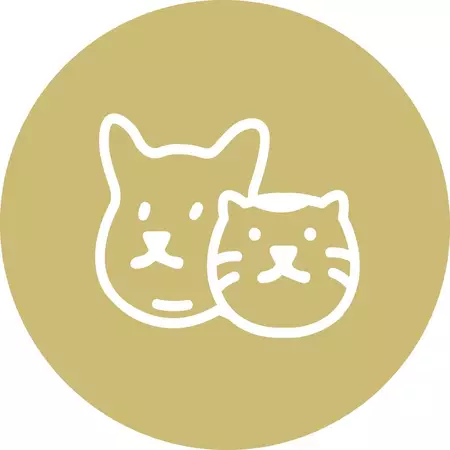 毛孩舟舟