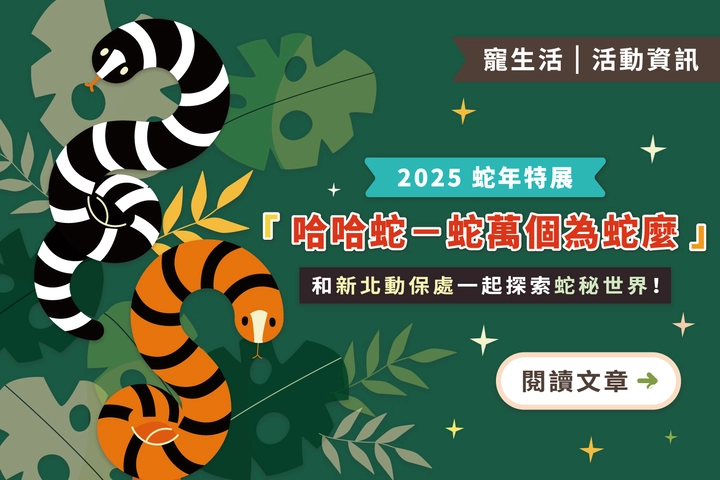 2025 蛇年特展｜「哈哈蛇－蛇萬個為蛇麼」和新北動保處一起探索蛇秘世界！