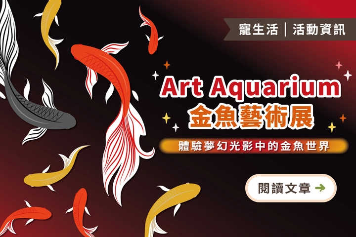 Art Aquarium 金魚藝術展｜體驗夢幻光影中的金魚世界