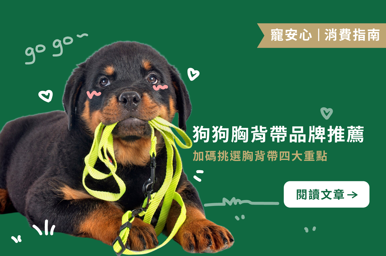 狗狗胸背帶品牌推薦｜加碼挑選胸背帶四大重點