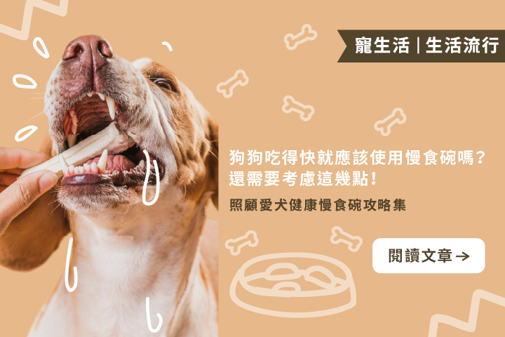狗狗吃得快就應該使用慢食碗嗎｜四個POINT你必須知道