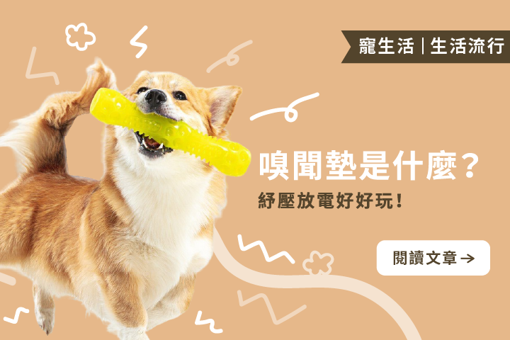 什麼是嗅聞墊？｜狗狗紓壓放電必玩！