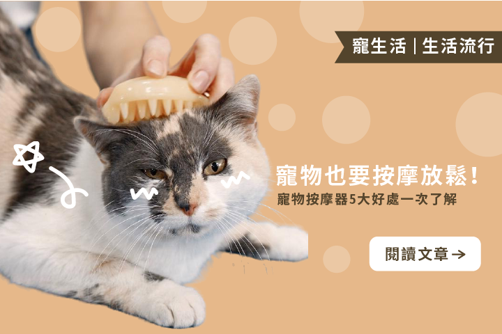 寵物也要按摩放鬆｜寵物按摩器5大好處一次了解