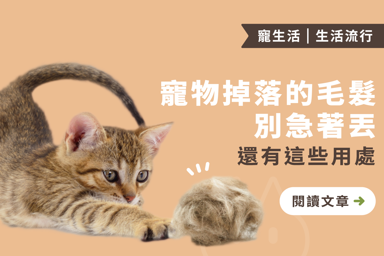 寵物掉落的毛髮別急著丟｜各種好玩&有趣用途公開