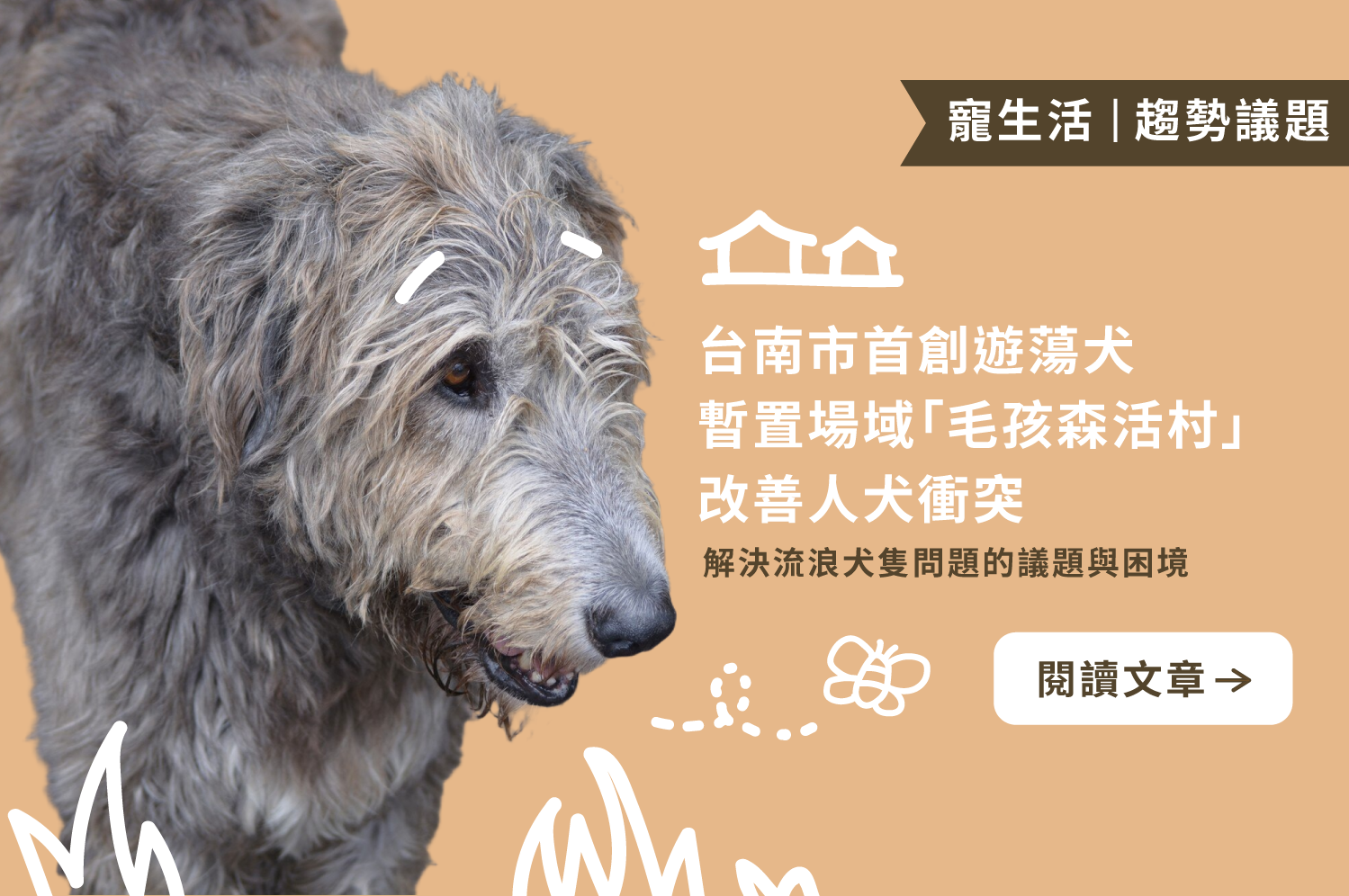 改善人犬衝突｜台南市首創遊蕩犬暫置場域「毛孩森活村」