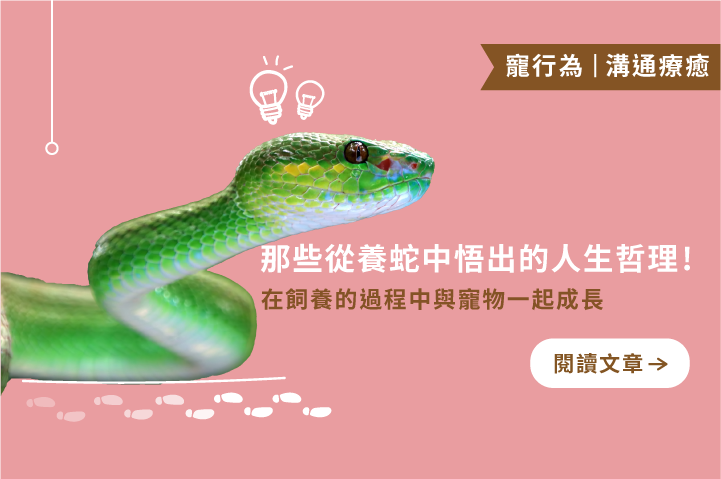 與寵物一起成長｜那些從養蛇中悟出的人生哲理！