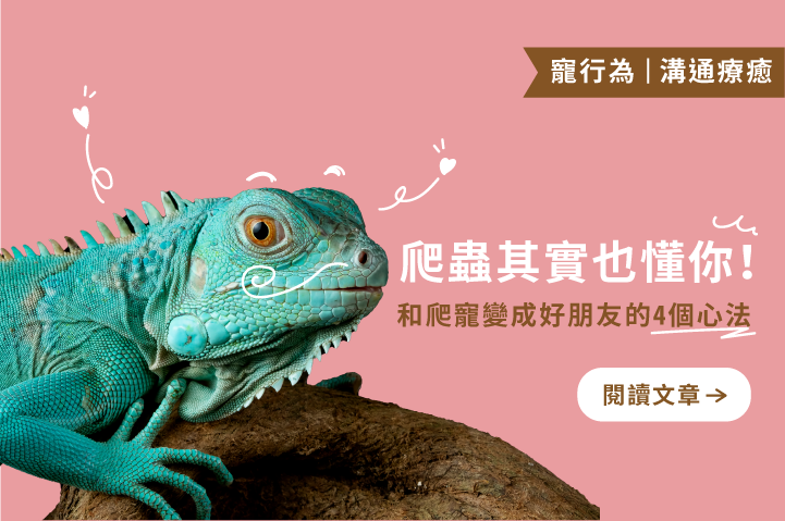 爬蟲其實也懂你｜和爬寵變成好朋友的4個心法