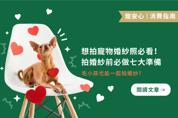 想拍寵物婚紗照必看！｜拍婚紗前必做七大準備