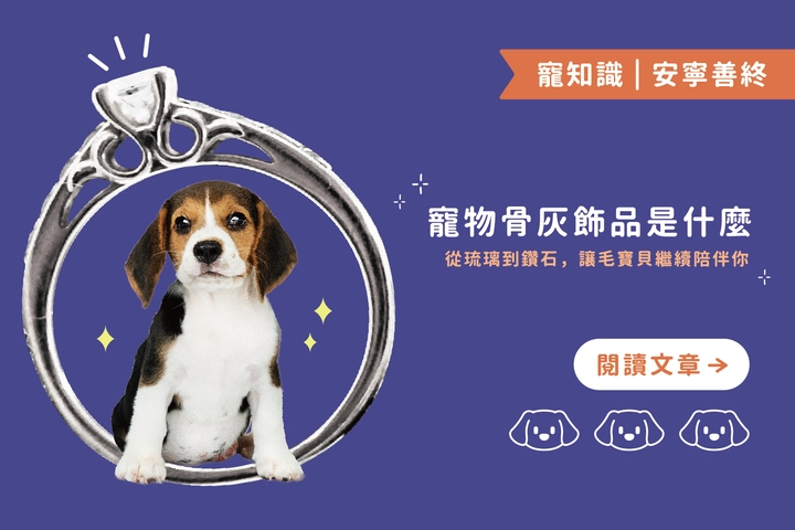 這飾品竟然是寵物骨灰做的？｜從琉璃到鑽石，讓毛寶貝繼續陪伴你